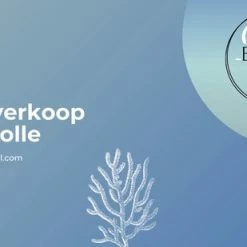 Alternative view of Kopen ???? Akyol Rugzak Dino - Dinosaurus - Dino - Rugtas -dinosaurus Zwemtas - Tas - Dinosaurus Rugtas - Kindertas - Dino Bag Pack - Dino Bag Pack - Children's Bag Pack ⌛