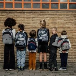 Flash-uitverkoop ???? Pick & Pack Rugzak - Alles Over Dinos - Kinderrugzak - Maat M - Dusty Groen ⭐ -Samsonite Winkel 550x366 15
