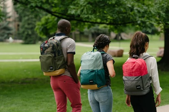 Aanbiedingen ???? Case Logic Campus Uplink - Laptoptas - 26L - Met Gratis Etui / Groen ???? 4 Aanbiedingen ???? Case Logic Campus Uplink - Laptoptas - 26L - Met Gratis Etui / Groen ???? - Afbeelding 3