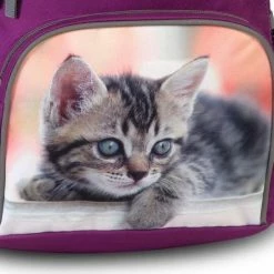 Alternative view of Groothandel ???? Animal Pictures Peuterrugzak Kittens - 30 X 21 X 11 Cm - Paars ????