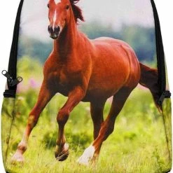 Hete verkoop ???? B&B Slagharen Rugzak Paard- Rugtas Bruin Paard- 42cm X 28cm X 12cm- Incl. Setje Paarden Stickers ???? -Samsonite Winkel 550x778 6