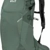 Goedkoopste ???? Jack Wolfskin ???? Backpack / Rugtas / Wandel Rugzak - Crosstrail - Groen ???? 1 Goedkoopste ???? Jack Wolfskin ???? Backpack / Rugtas / Wandel Rugzak - Crosstrail - Groen ???? -Samsonite Winkel 550x786 2