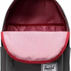Beste Verkoop ???? Herschel Classic X-Large Gargoyle / Ruime Rugzak Met 30L Opbergvolume - 15" Laptopvak - Twee Zijvakken Voor Drinkfles / Met Levenslange Fabrieksgarantie / Limited Lifetime Warranty / Grijs ???? -Samsonite Winkel 550x839